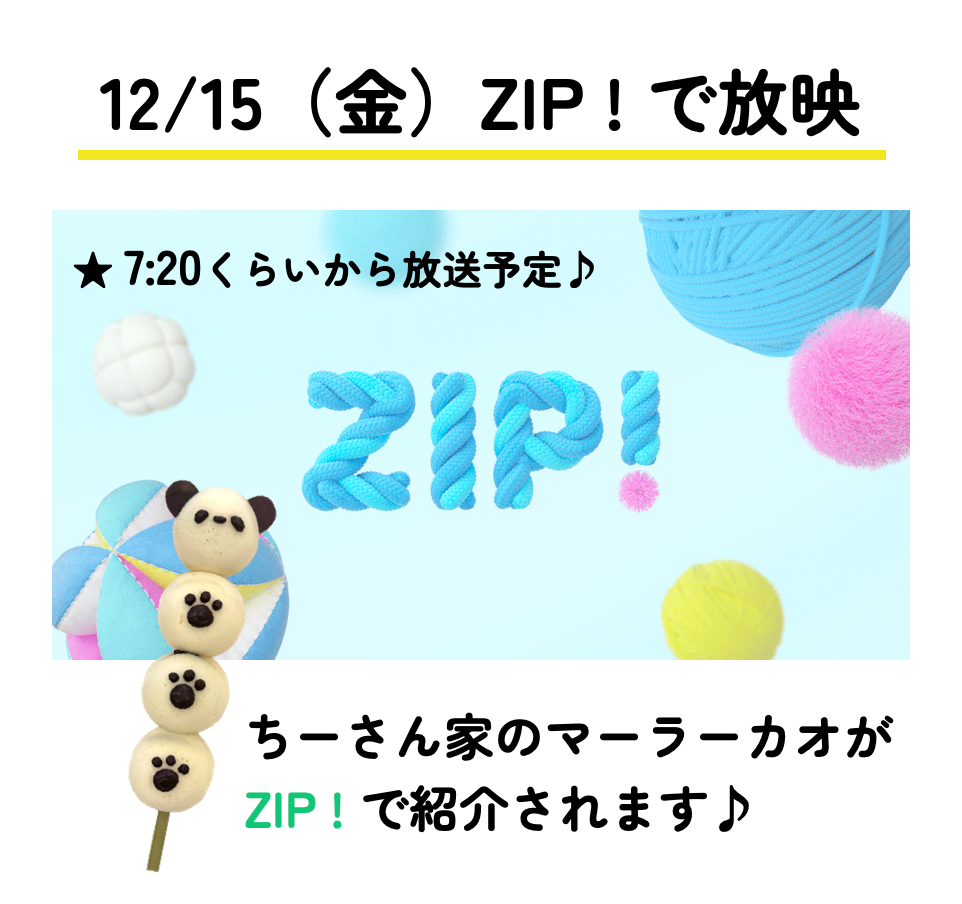 日テレ「ZIP！」に出演